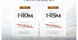 The Hive Court Phase 4