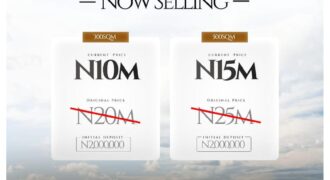 The Hive Court Phase 4